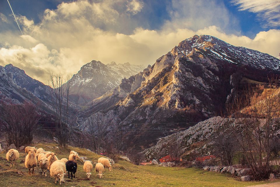 ✔   Un año  con los mejores paisajes que harán que te enamores  de Asturias