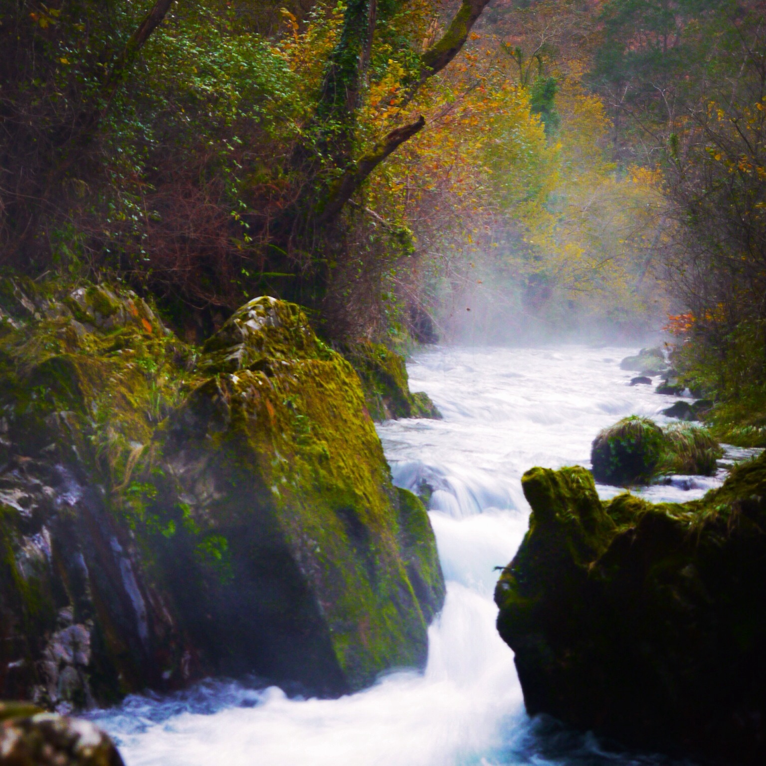 ✔ Senda del Nacimiento del Río Purón… El agua de los picos de Europa que viaja por las entrañas de la tierra para asomarse en un lugar cerca del mar..